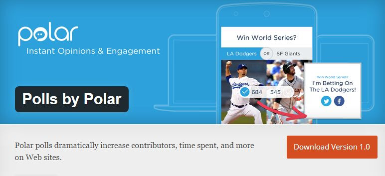 community manager